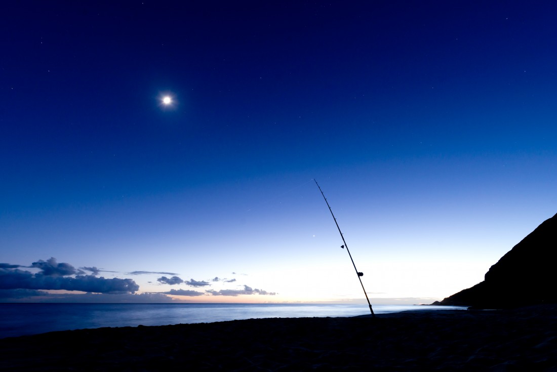 Éjszakai Horgászat
